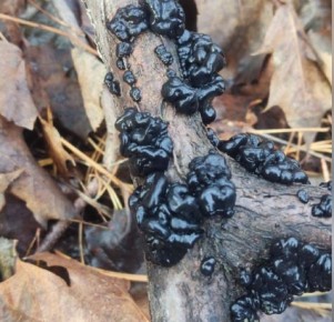 ������� ����: �������� ������������ � ��������� ����� ����� ��� ���� �����