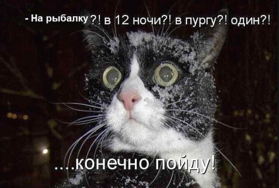 ������� ����������� �� �������: ����� � �������� ��� ��������� ����������