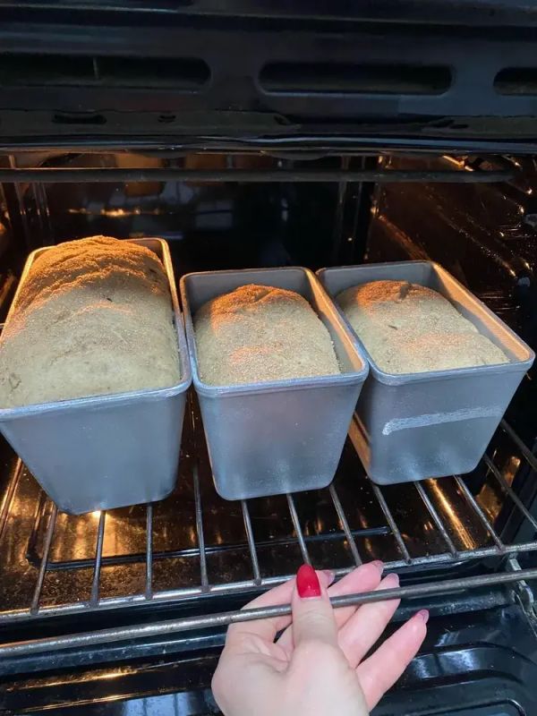 ������������ ��������-������ ���� � �������� ��� ������ �����