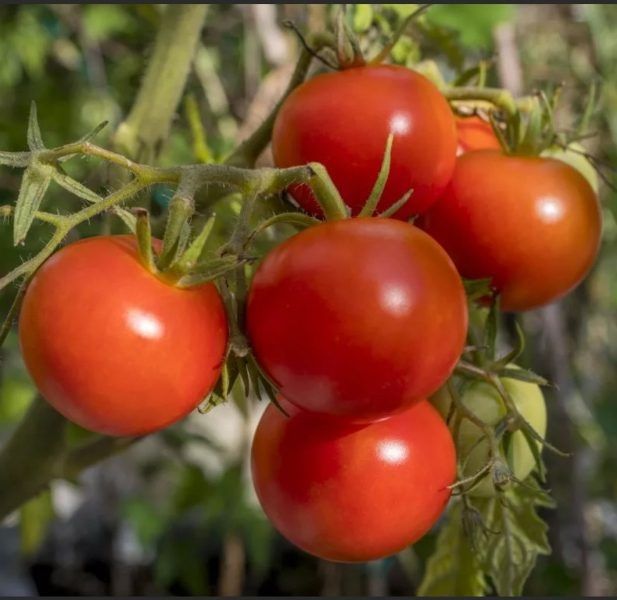 ����� ������: �������� ����� ��� ������� ������