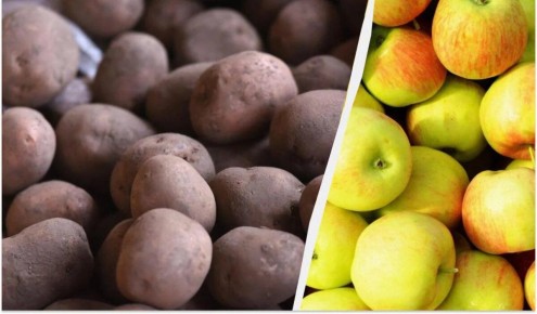 ��� �������� ���� �������� ���������: ������ � ��������