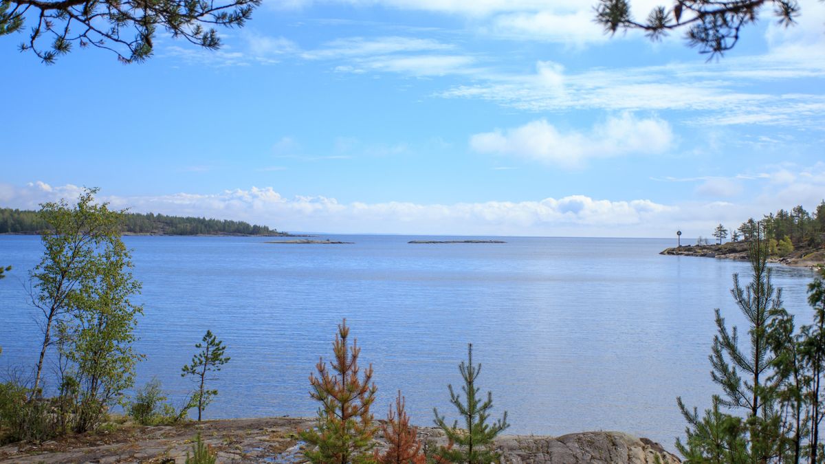 ������� ��������� �������: ������������, ����� � �����������