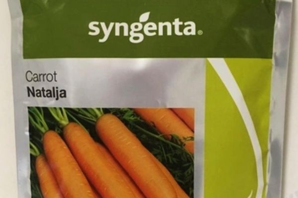 ������� �������: ��� ������� ����������� �������