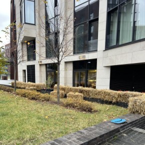 Новый взгляд на фастфуд: JNKL в Хамовниках предлагает смелые решения