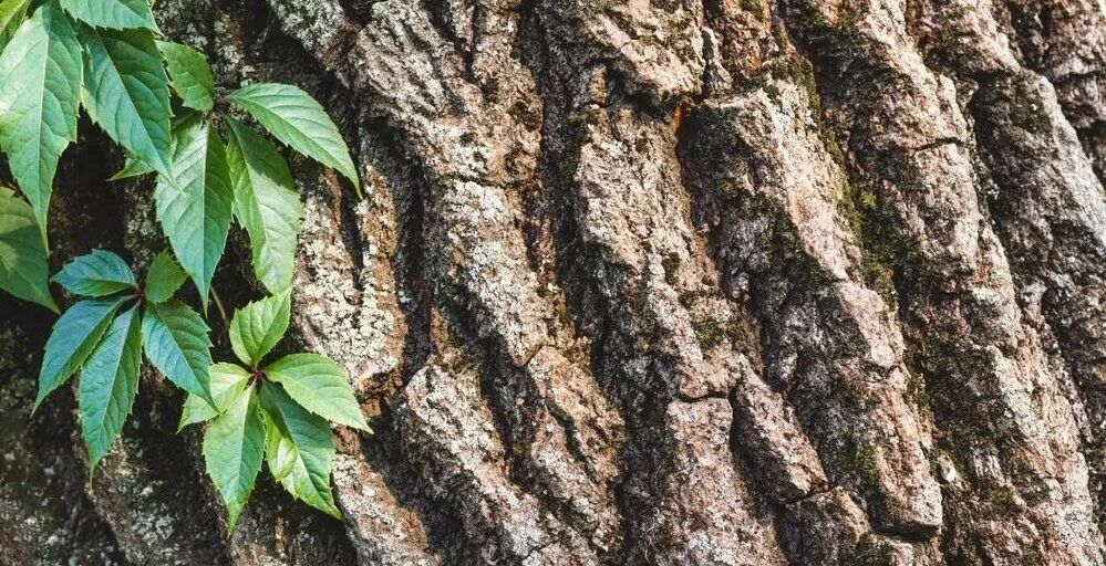 ��� ������� �� ���� �������� ����� �������� ������ ���� � ��� � ���� ������