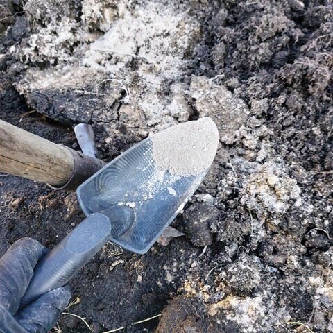 ��� ������� ��������� � ����������� ����� ����� �������� ������ ����� �������� �� ��������� ���?