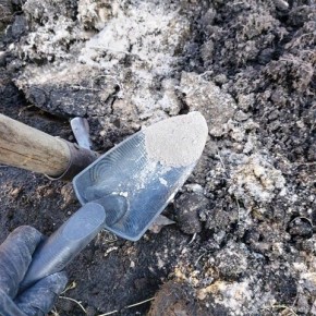 ��� ������� ��������� � ����������� ����� ����� �������� ������ ����� �������� �� ��������� ���?