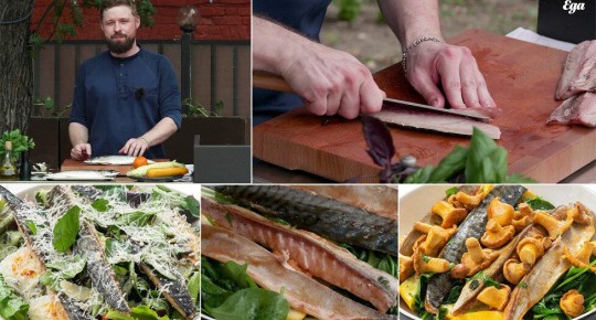 ������ �������� �� �����: ��� �������� ������ � ������