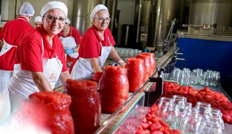 Любимые томатные соусы: заготовим на зиму