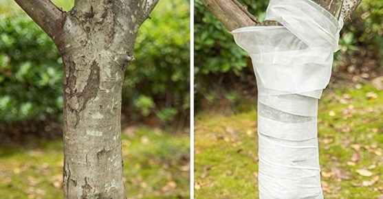 ������� ����: ��������� ������� ��� ������ �������� �� ������� � ��������