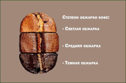 Свежесть обжарки: Как она формирует вкус вашего кофе