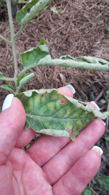 ������: ��� ��������� ��������� �� ���������� � ����� �����