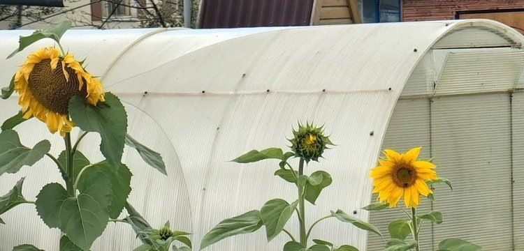 ��������� ����� � �������: �������� ���� ��� ��������� ������