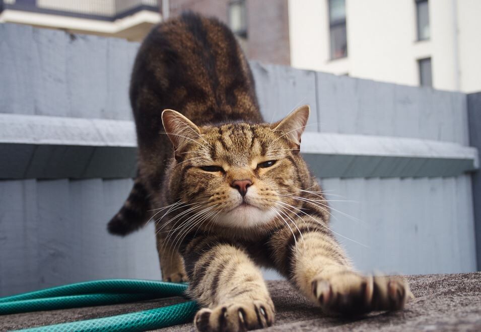 ��� ������������ ��������� ������� � ���� � �������� ������