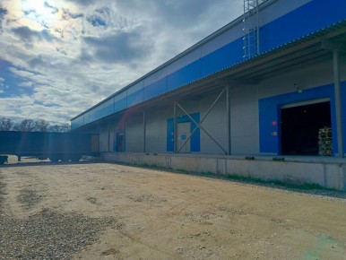 ������������� ����� Ozon: ������� ����� �� ���������� ���������