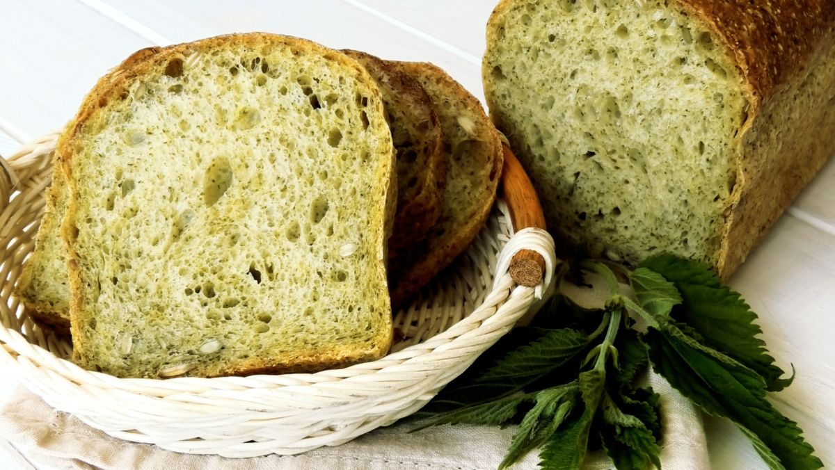 ��������� ���� � ��������: �������� ����� �����