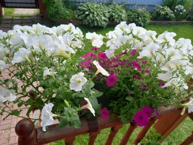 Как правильно экономить и не терять в качестве: советы от экономной хозяйки