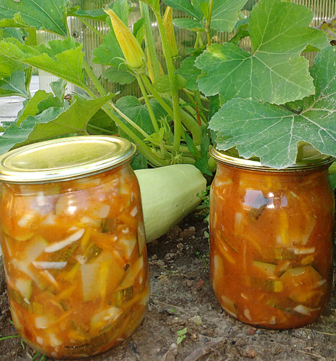 Закуска из кабачков на зиму: великолепные рецепты для уютных вечеров