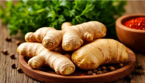 ������������ ������: ��� ����� ��� ������� � �������