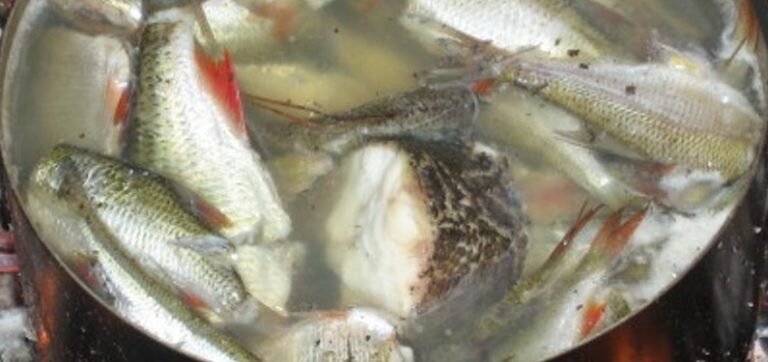 Тайны настоящей русской ухи: какие виды заслуживают внимания?