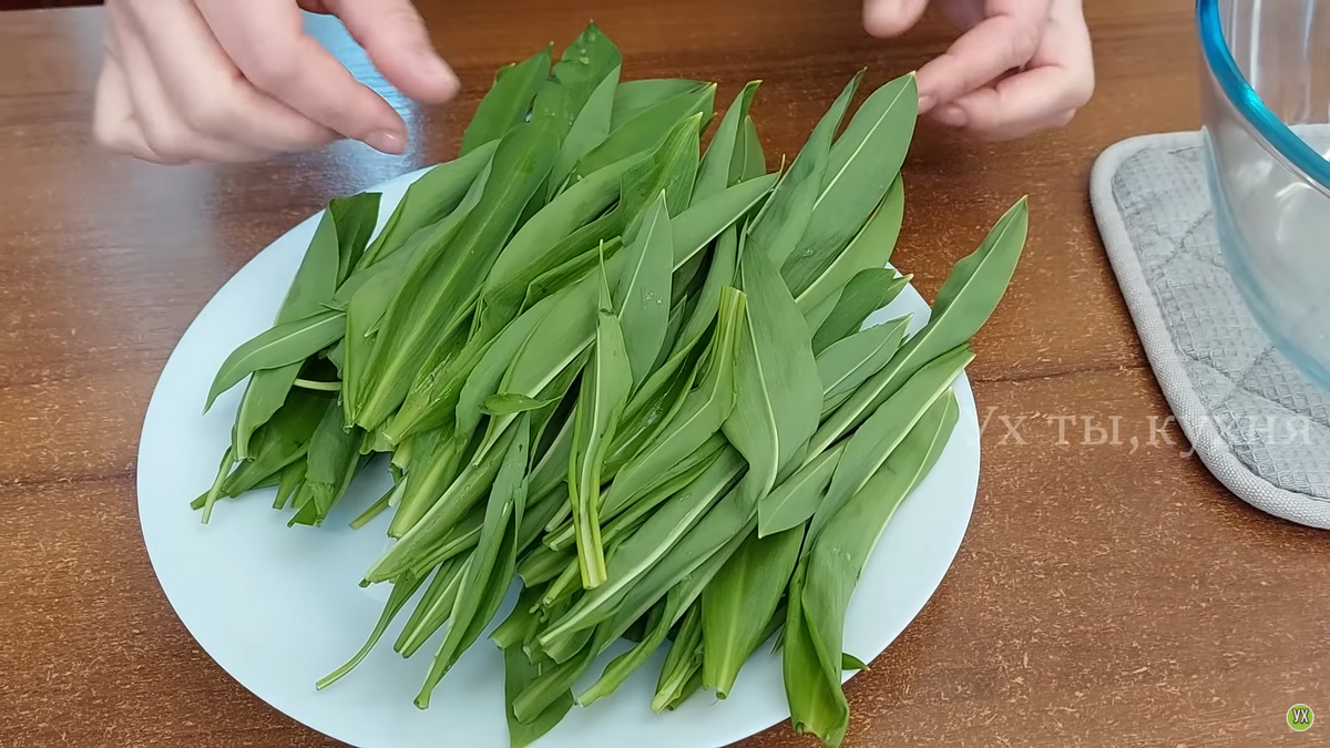 Вкусный зелёный завтрак с черемшой и авокадо-салатом