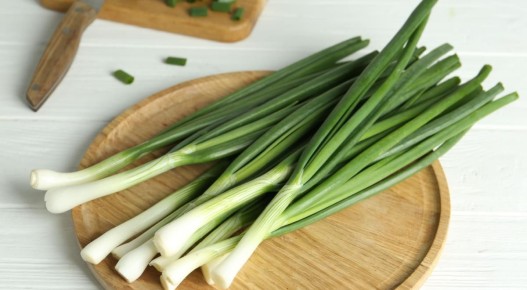 ������� �������� ����: ������ � ��� ������ � �����������������