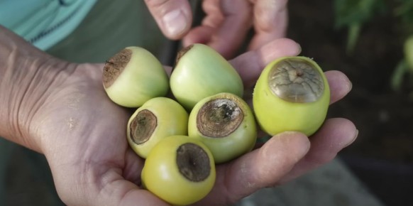 ��������� ����� �� ���������: ��� ���������� �� �������� ��� ������ ������?