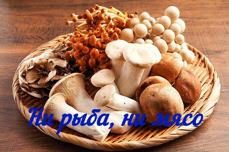 Грибы: настоящая находка для здоровья и долголетия