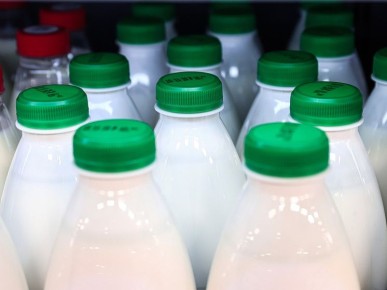 ������������� ��������: ��� �������� ���������� ����������� ��� ��������