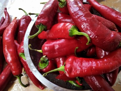 ������� ��� ��������� �������