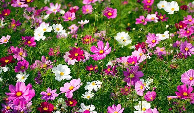 �������� ��������� �����������: 16 ������ ��� ������ ����