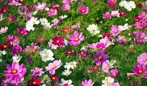 �������� ��������� �����������: 16 ������ ��� ������ ����