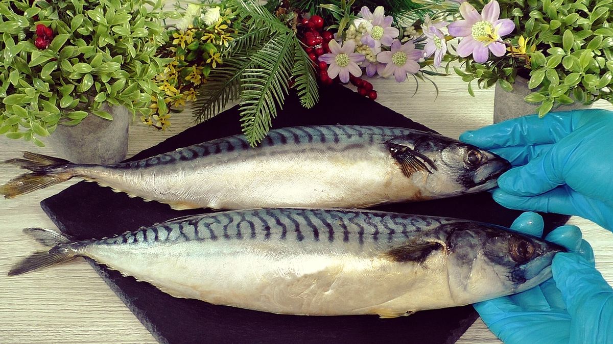 ������� �������� � �������: ������� � ������� ������