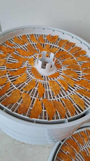 ��� ��������� ������ �����: ��������� �����������