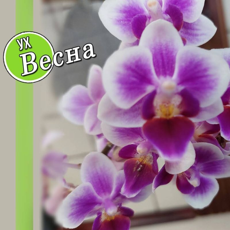 ������� �����: ��� ��������� ������� � �������� ����