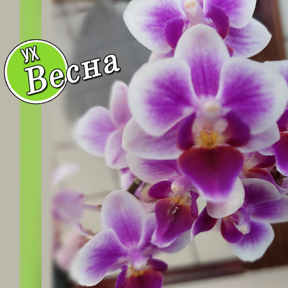 Вкусная весна: как пробудить чувства и обновить меню