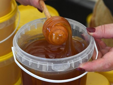 ��� �������� ����� �������� ����� � �������? ������������ ����������������