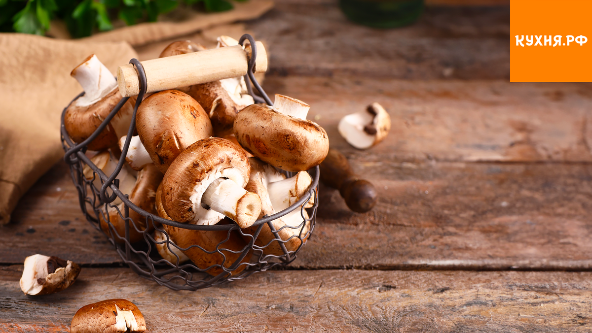 Почему грибы не стоит списывать со счетов