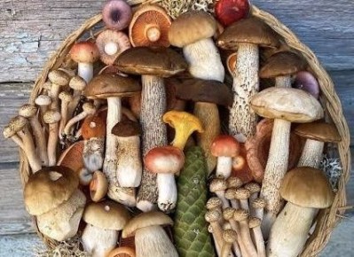 ��� ��������� �������� ������� �����?