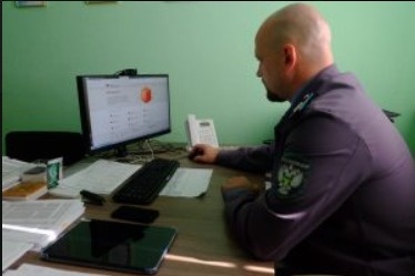 Россельхознадзор обнаружил смешивание форели и лосося в рыбной продукции