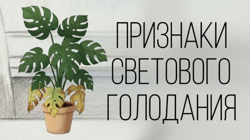 ��� ���������� �������� ��������� � ��������