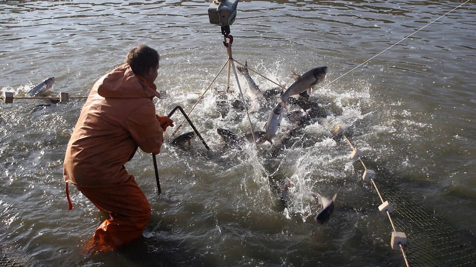 ������ ���� � �����-������������ �������� ������ ��������� �����������