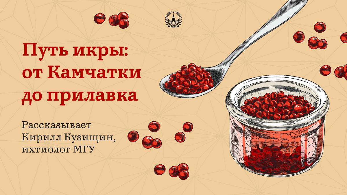 ����: ������, ��� ������ ���������