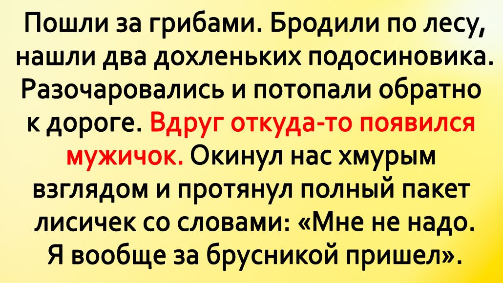 ����� ����� �� ������� ���������� ��������� ������������