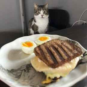 ���������� ���� ������: ����� ������� ��� �����������