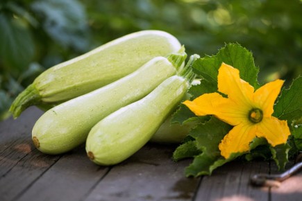 ������ ���������� ������: ������ ���� � ������ �����