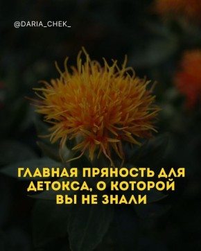 Как пряности могут стать вашей главной оружием в детокс-программе