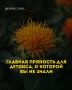 Как пряности могут стать вашей главной оружием в детокс-программе
