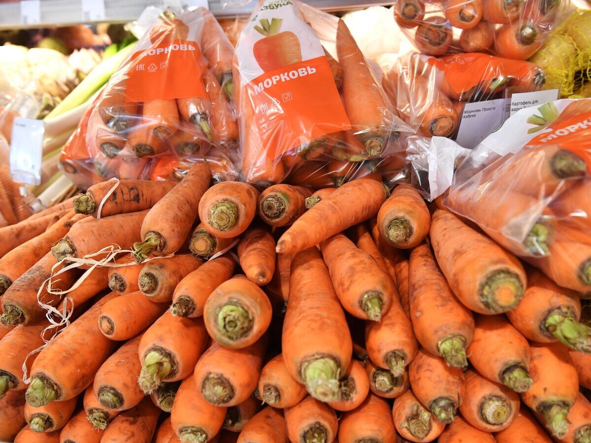 Цены на морковь упали: как изменился рынок овощей в сентябре 2025 года
