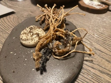 ����� ���������������� ��� �������� ���������� �� ���� ��������� Bjorn